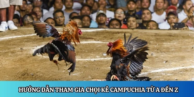 Hướng dẫn tham gia chọi kê Campuchia từ A đến Z