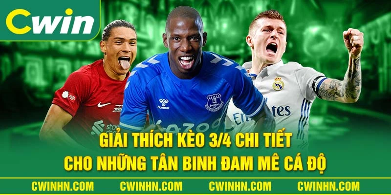 Giải Thích Kèo 3/4 Chi Tiết Cho Những Tân Binh Đam Mê Cá Độ