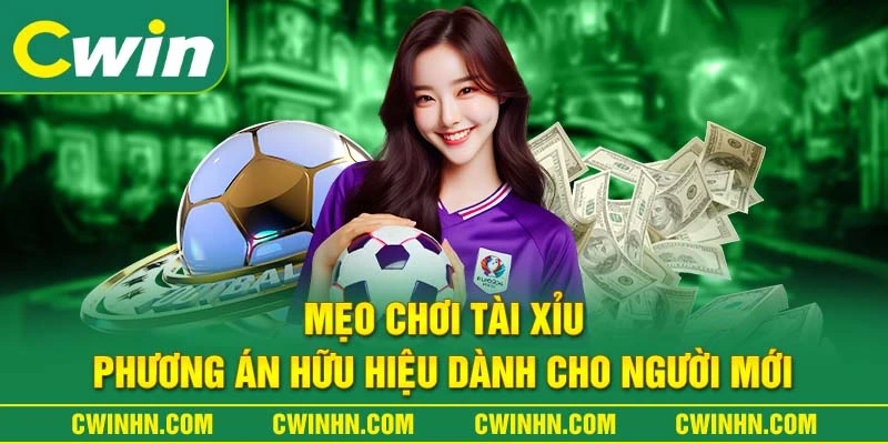 Mẹo chơi tài xỉu phương án hữu hiệu dành cho người mới